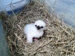 altAiVHQbPxFx6DyqU_vhJObmNg9AmkZkCaEr3zkP_u-AkA