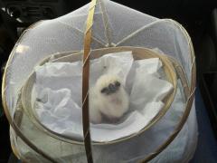 altAlGZJHiqvUUoWmD4w4bwq9oxrMPxR8Da1QSlBMhiWEcS