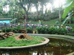 ???????????????????????????????