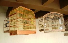 ???????????????????????????????