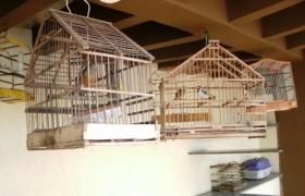 ???????????????????????????????