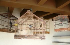 ???????????????????????????????