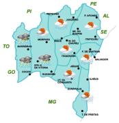 Mapa de Previsão por Regiões