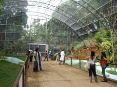 182038_101244363289088_7392684_n