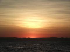 11709617_860732807348986_1544926696882855062_n