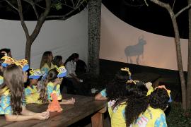 Passeio noturno no Zoológico de Salvador.Foto: Pedro Moraes/GOVBA