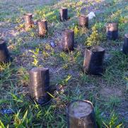 1293bdc4-905e-42c9-998d-2370323518fc