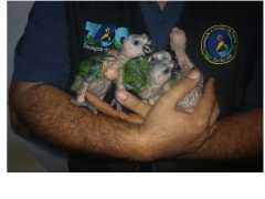 Zoo de SAlvador - Tecnica e ação em prol da conservação