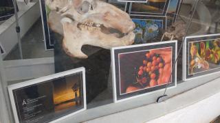 IMG_20151128_090746199