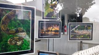 IMG_20151128_090830082