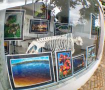 IMG_20151128_090927619_HDR