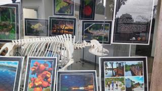 IMG_20151128_091041868