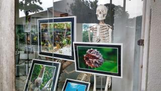 IMG_20151128_091059150_HDR