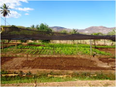 Inema continua ações da 5ª Campanha de Cadastro Hídrico em novembro