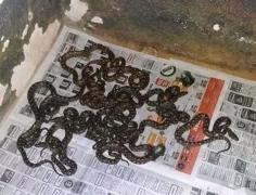 eddca962-9df2-4cc5-b00c-06a461e01531