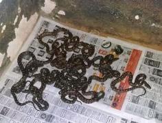 eddca962-9df2-4cc5-b00c-06a461e01531