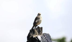 964964_471204626293058_1718958580_o