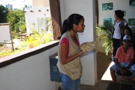 Aprendendo no Zoo_NACCI_Foto-Ascom-Inema