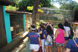 Aprendendo no Zoo_NACCI_Foto-Ascom-Inema