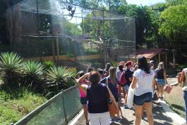 Aprendendo no Zoo_NACCI_Foto-Ascom-Inema