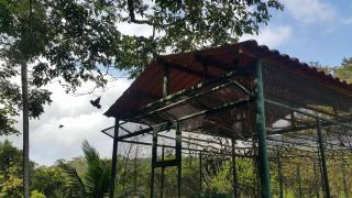 22139752_1511588258908154_1614930843_o