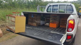 22163685_1511588252241488_74809622_o