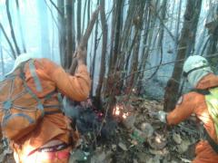 22643083_1529093537157626_888679535_o