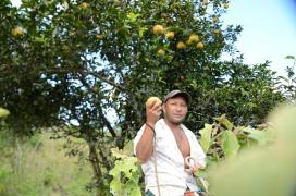 1515008941Rio_Cachoeira_3