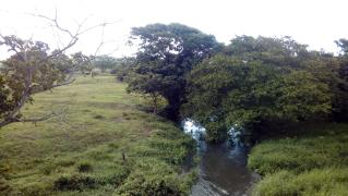 Ponto de coleta REA-REA-300