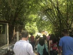 C7E9566A-6063-4CD6-A477-EC2C37195AC1