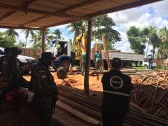 apreensão de madeira