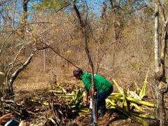 IMG_20190917_084756622