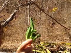 IMG_20190917_084821850