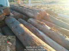 WhatsApp Image 2019-09-27 at 14.15.04