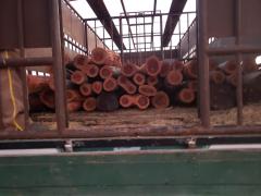 WhatsApp-Image-2019-09-27-at-14.15.06