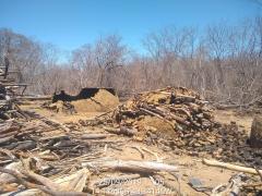 WhatsApp Image 2019-09-27 at 14.15.12