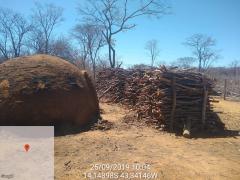 WhatsApp Image 2019-09-27 at 14.15.14 (1)