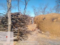 WhatsApp Image 2019-09-27 at 14.15.14 (2)