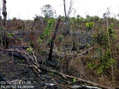 WhatsApp Image 2019-10-08 at 15.35.18