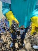 WhatsApp Image 2019-10-28 at 15.52.46 (3)