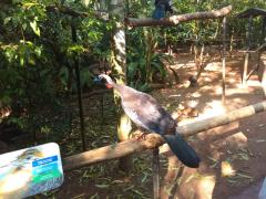 thumbnail_IMG_20191009_084051624