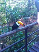 thumbnail_IMG_20191009_085510444