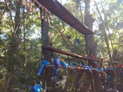 thumbnail_IMG_20191009_093321531