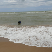 Coleta - Balneabilidade