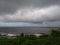 WhatsApp Image 2020-06-04 at 10.26.11