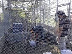 WhatsApp Image 2020-07-29 at 13.03.06 (1)