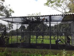 WhatsApp Image 2020-07-29 at 13.03.07 (1)