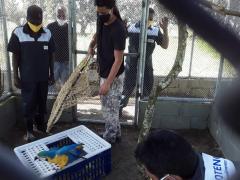 WhatsApp Image 2020-07-29 at 13.03.07