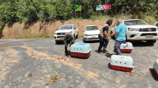 337ffc25-c6f7-4604-870d-90114c688507