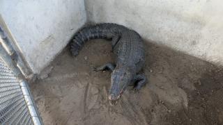 WhatsApp Image 2020-10-15 at 14.41.53